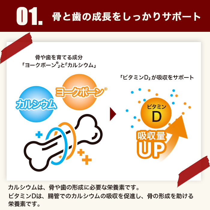ジュニア04