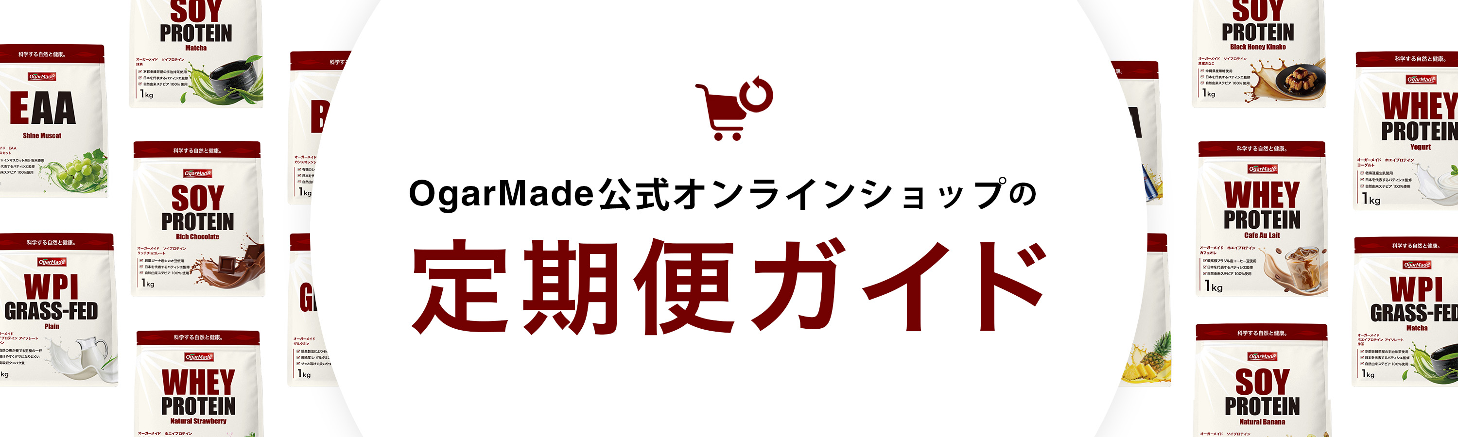 定期便のご案内