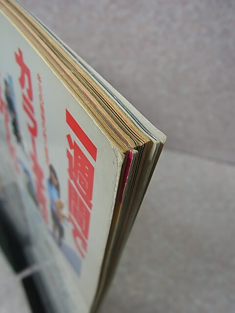 写真生活 1985年6月号（昭和60年） 辰巳出版 【1】