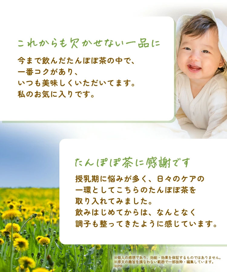 【通常購入】たんぽぽ茶