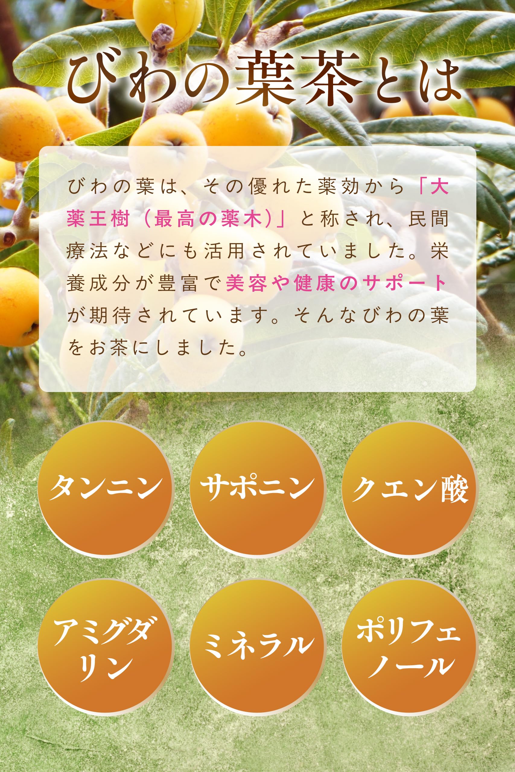 【通常購入】 びわの葉茶