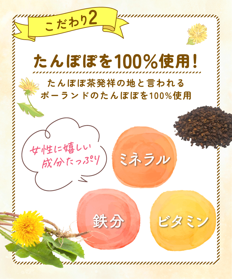 【通常購入】たんぽぽ茶