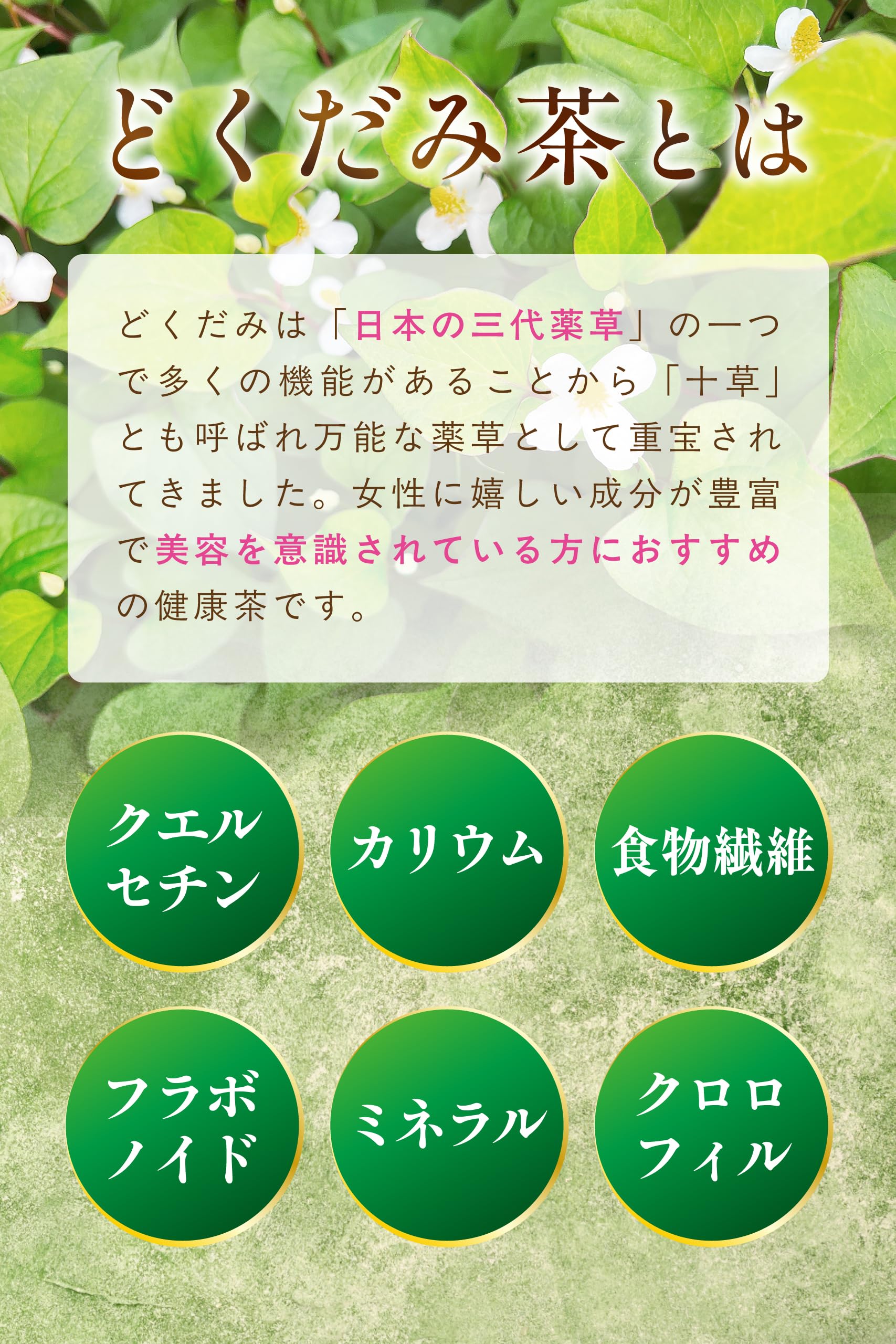 【通常購入】 どくだみ茶