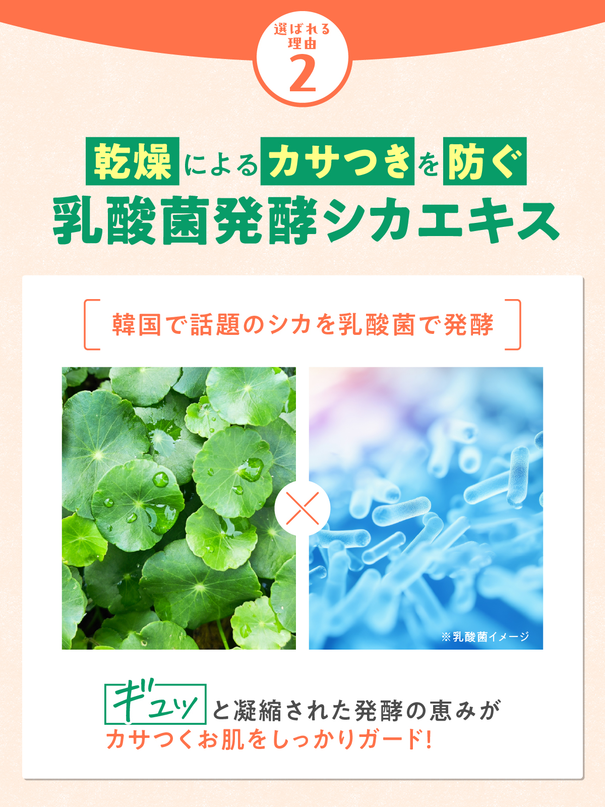 【単品購入】ラビサラ抑毛ローション