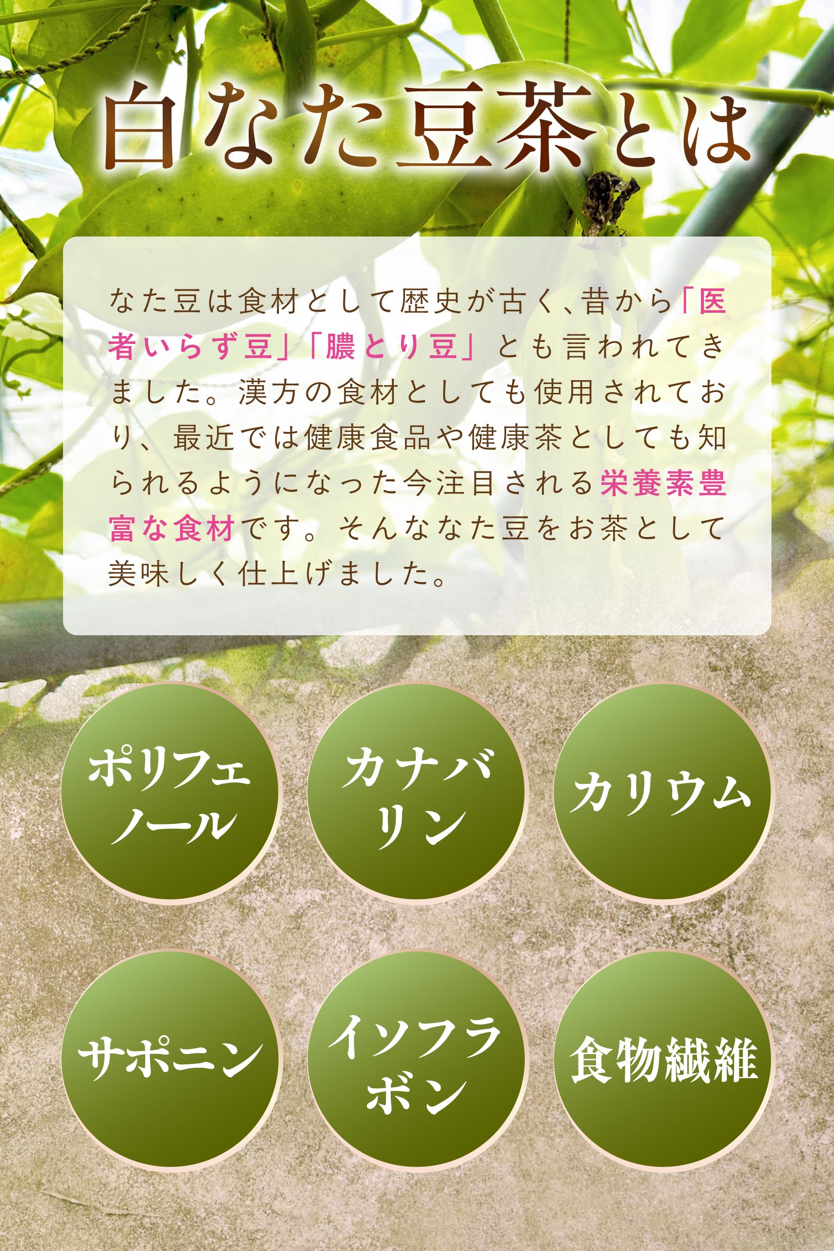 【通常購入】 白なた豆茶