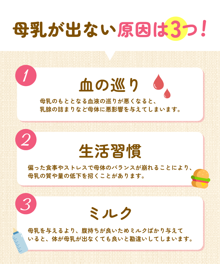 【通常購入】たんぽぽ茶