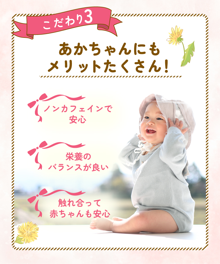 【通常購入】たんぽぽ茶