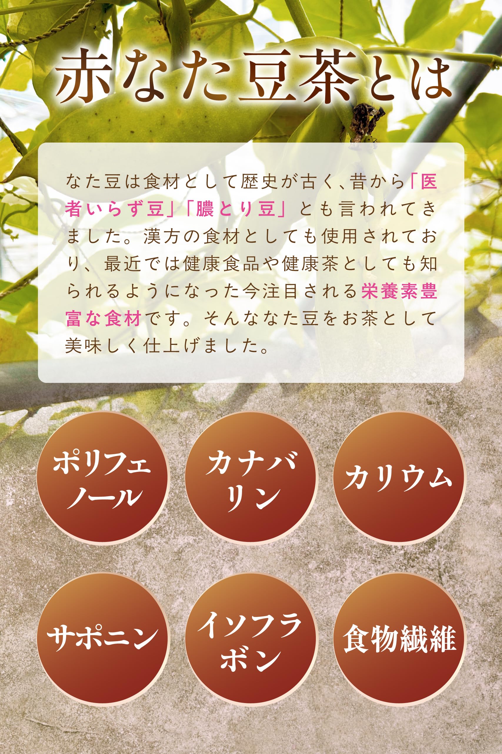 【通常購入】 赤なた豆茶
