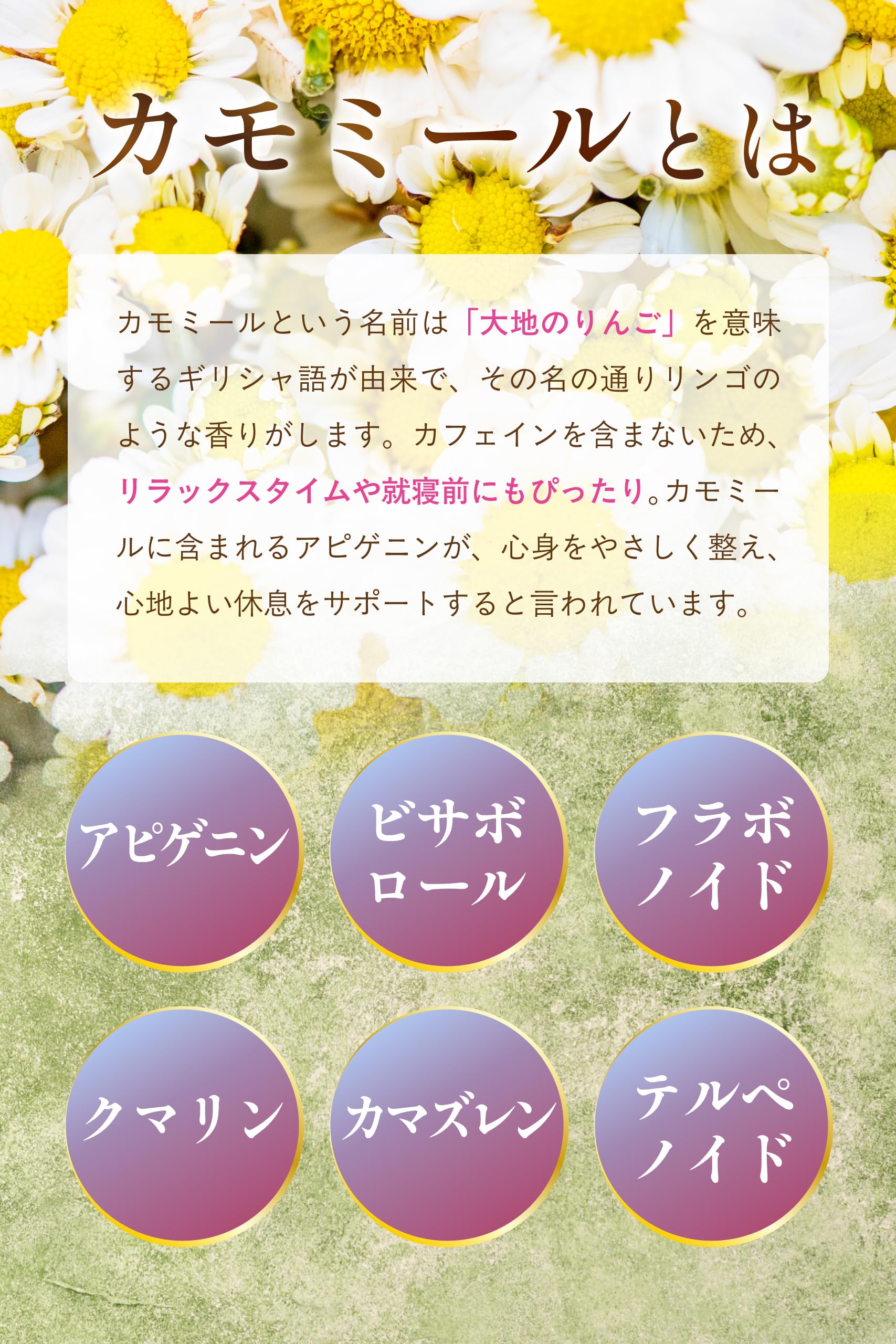 【通常購入】 有機カモミールティー