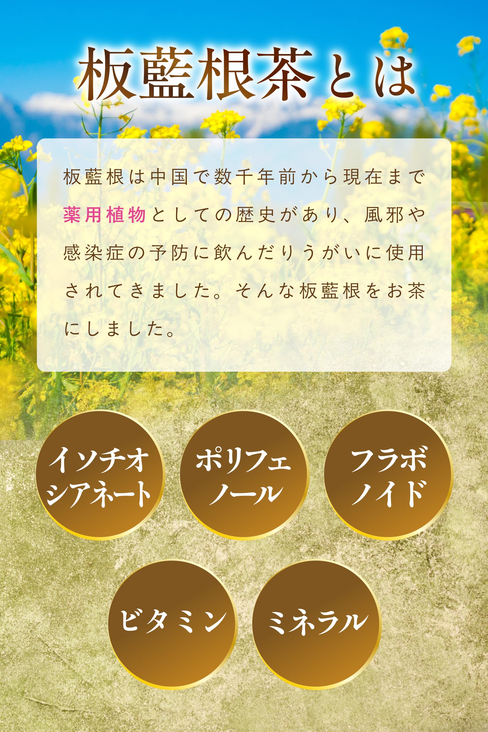 【通常購入】 板藍根茶（1袋）