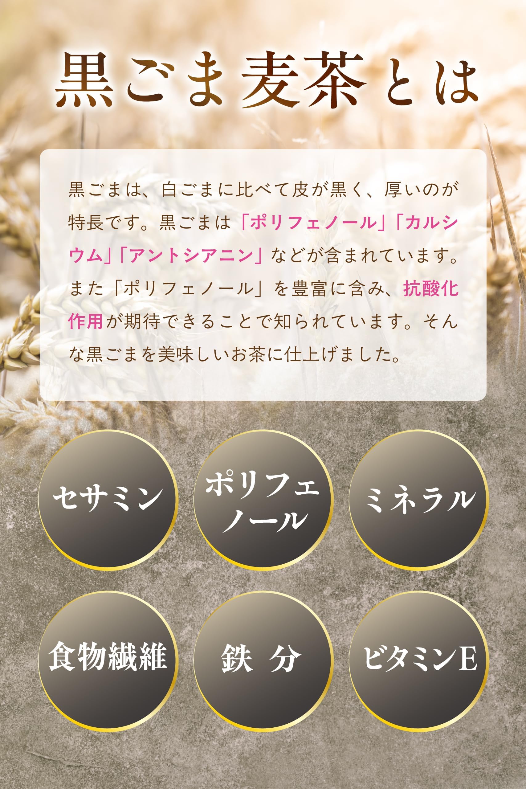 【通常購入】 黒胡麻麦茶