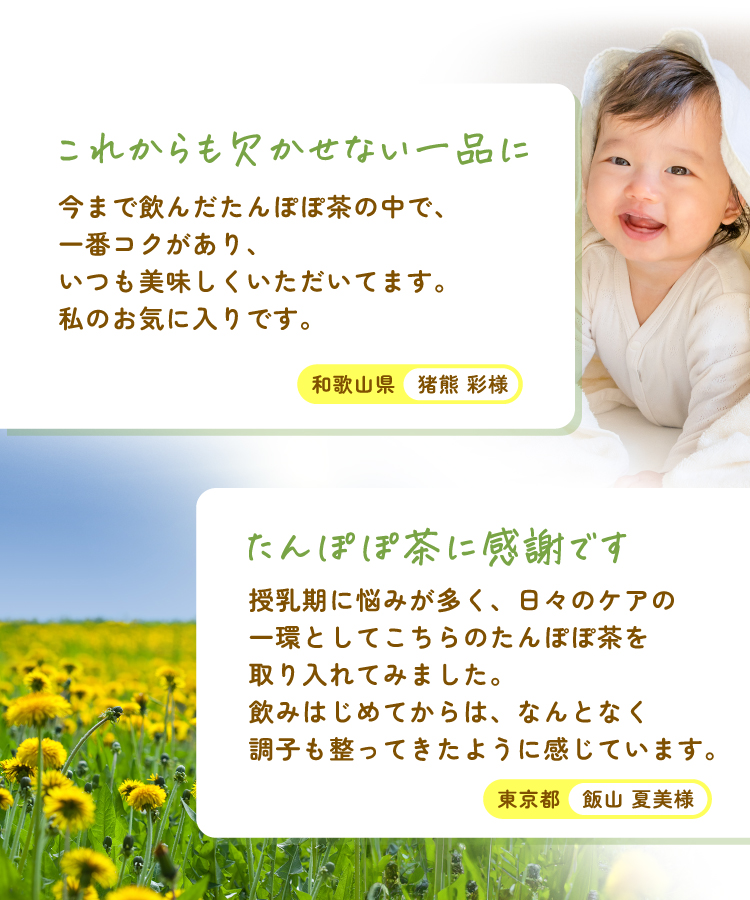 【通常購入】たんぽぽ茶