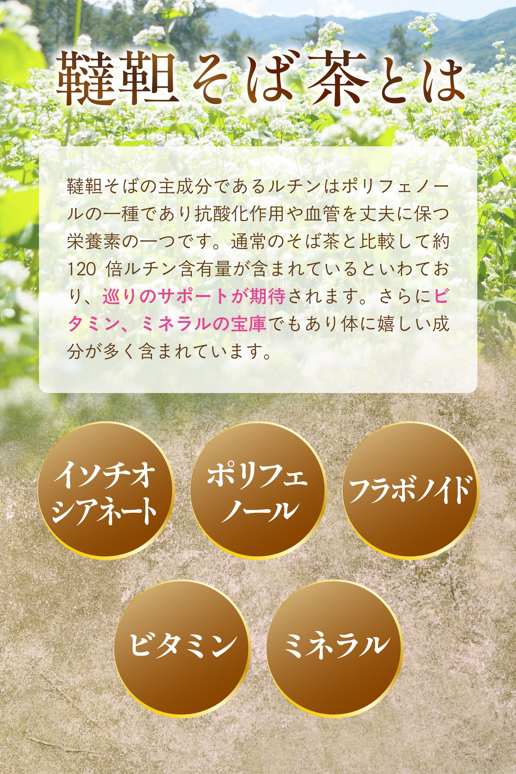 【通常購入】 韃靼そば茶