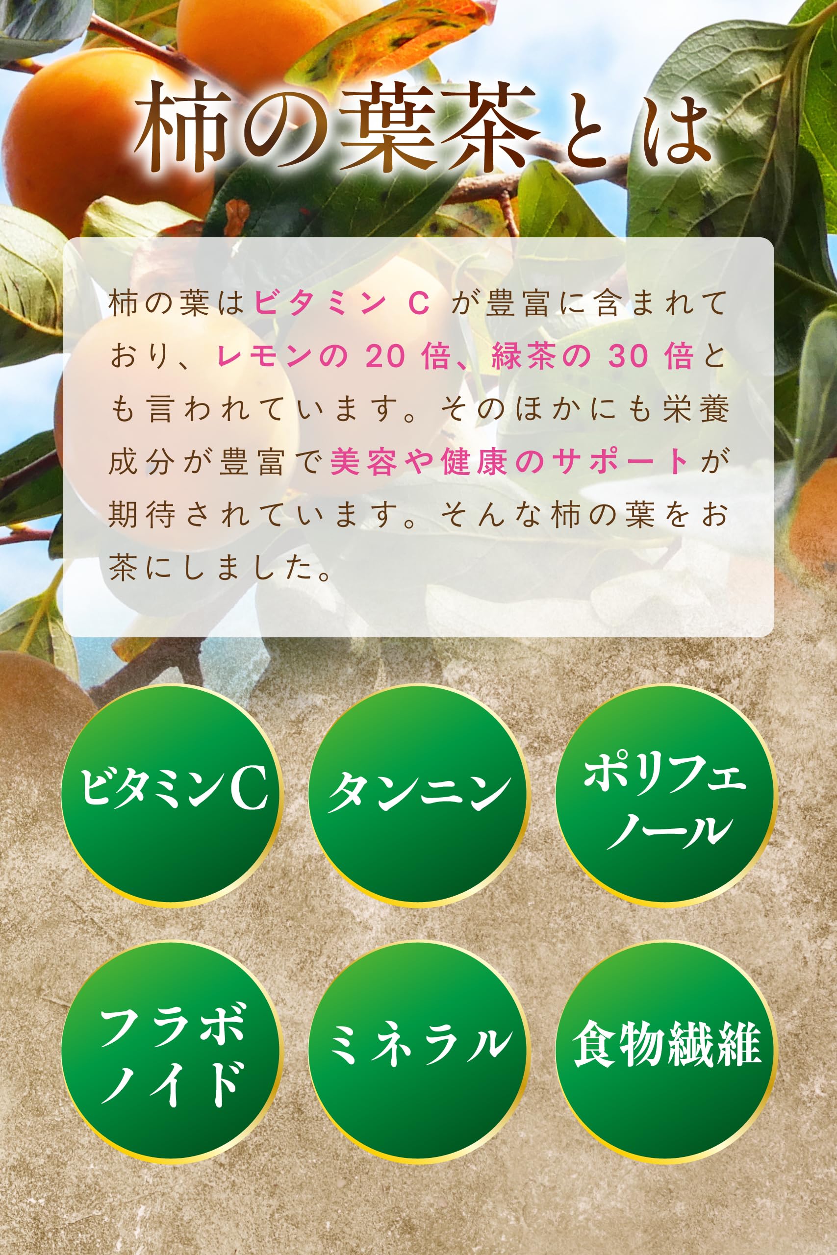 【通常購入】 柿の葉茶