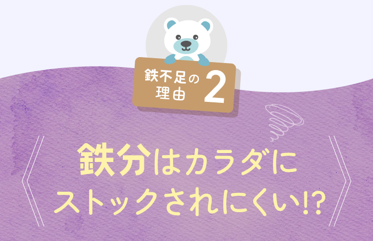 鉄不足の理由2 鉄分はカラダにストックされにくい!?