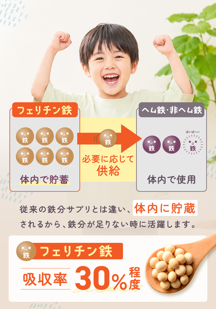従来の鉄分サプリとは違い、体内に貯蔵されるから、鉄分が足りない時に活躍します。