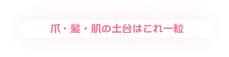 爪髪肌の土台はこれ1粒