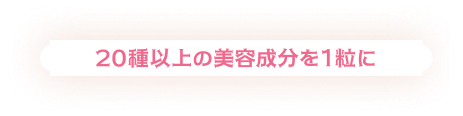 20種以上の美容成分を1粒に。