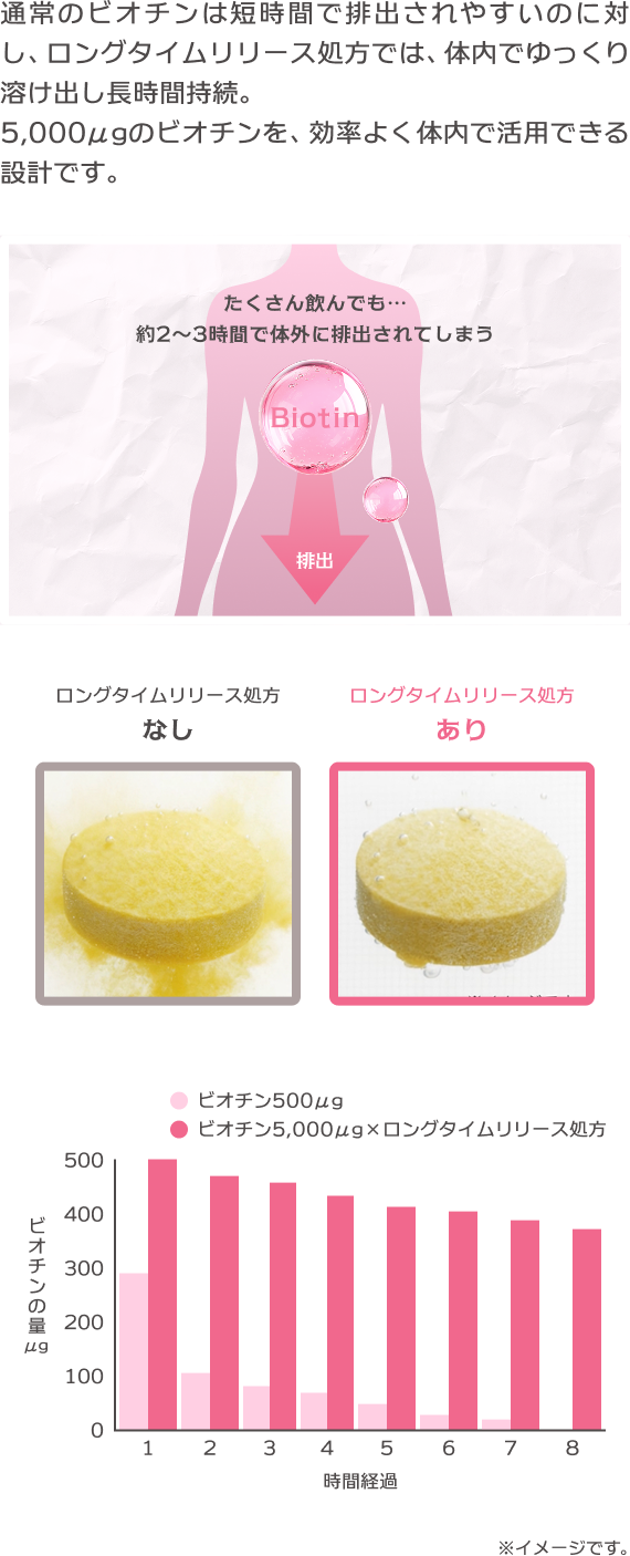 通常のビオチンは短時間で排出されやすいのに対し、ロングタイムリリース処方では、体内でゆっくり溶け出し長時間持続。5,000μグラムのビオチンを、効率よく体内で活用できる設計です。