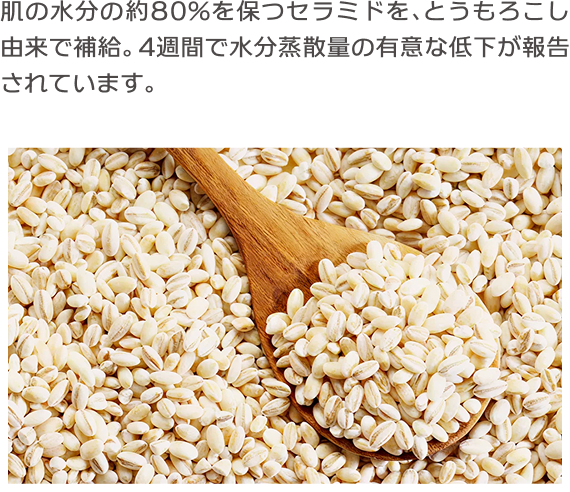 肌の水分の約80%を保つセラミドを、とうもろこし由来で補給。4週間で水分蒸散量の有意な低下が報告されています。