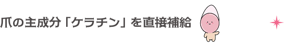爪の主成分「ケラチン」を直接補給