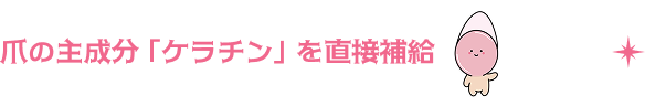 爪の主成分「ケラチン」を直接補給