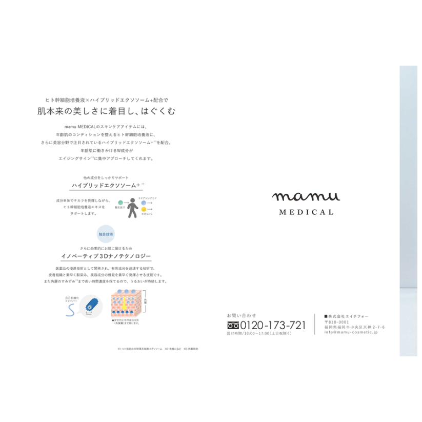 【専用】mamuMEDICALスキンケアパンフレット