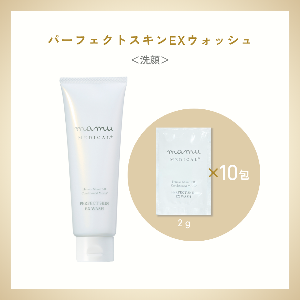 【専用】〈サンプル10個〉パーフェクトスキンEXウォッシュ