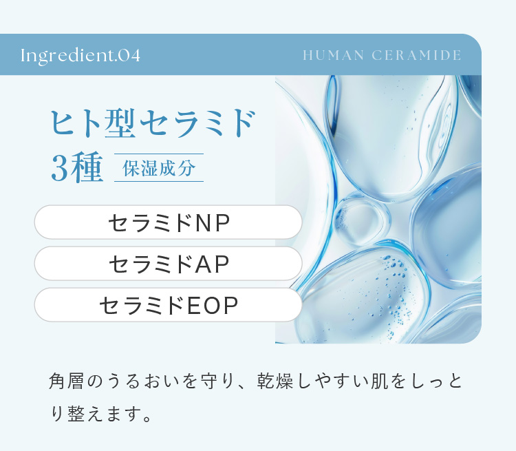 Ingredient.04 ヒト型セラミド3種 保湿成分 セラミドNP セラミドAP セラミドEOP