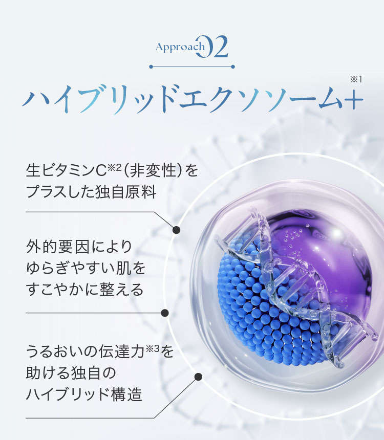 アプローチ2.ハイブリッドエクソソーム+