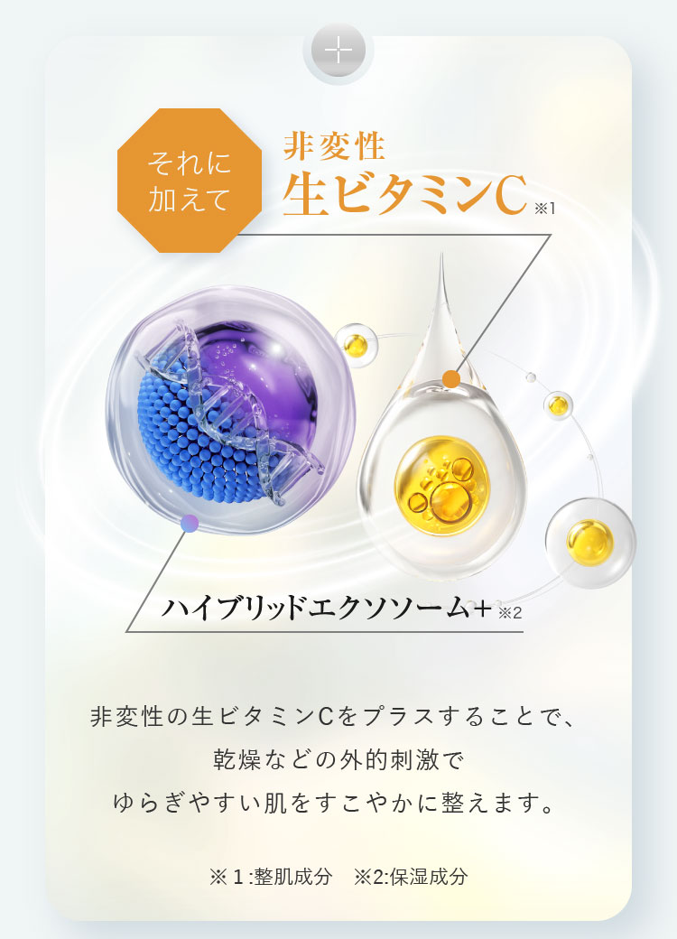 それに加えて非変性生ビタミンC ハイブリッドエクソソーム+