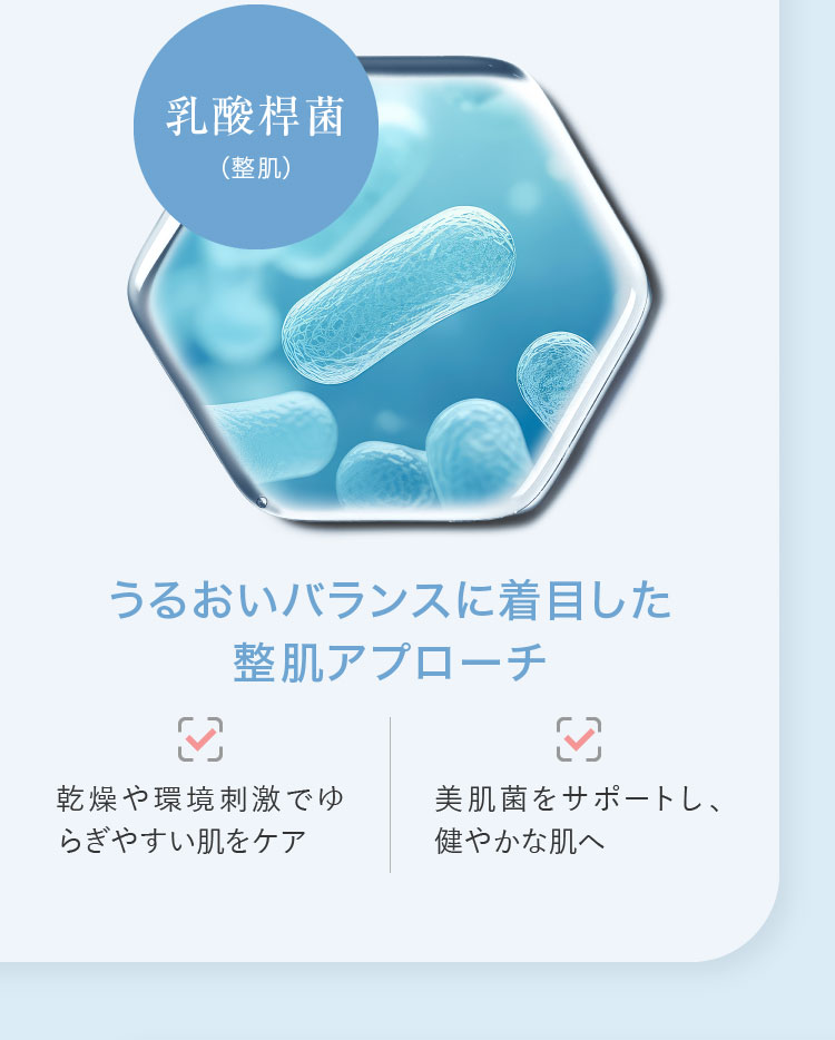 乳酸桿菌（整肌）