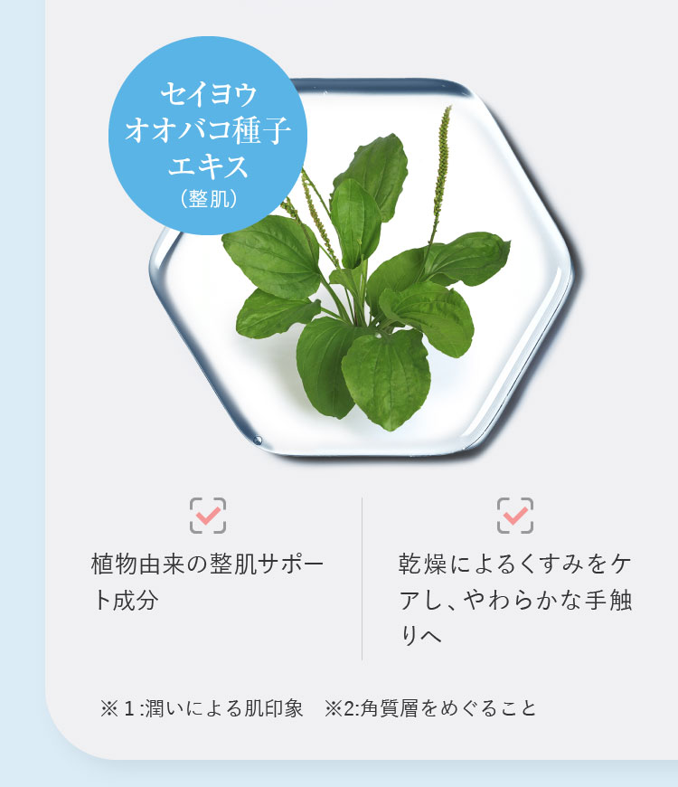 セイヨウオオバコ種子エキス（整肌）