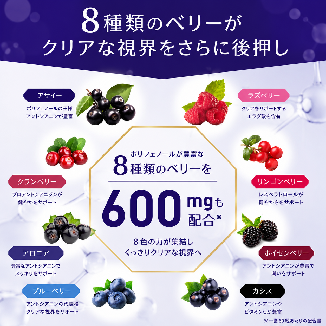 視界サポート成分説明画像