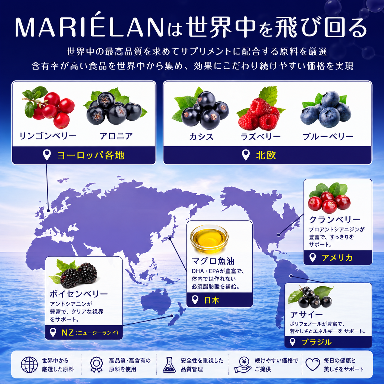 ベリー成分説明画像
