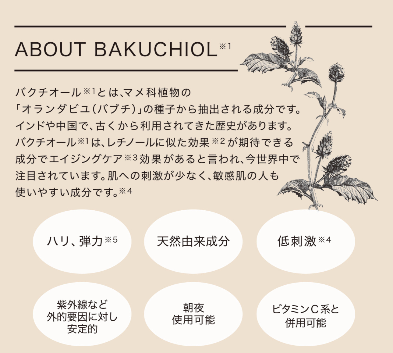 BKOオイルセラム10mLサンプル