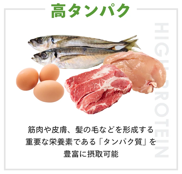 高タンパク