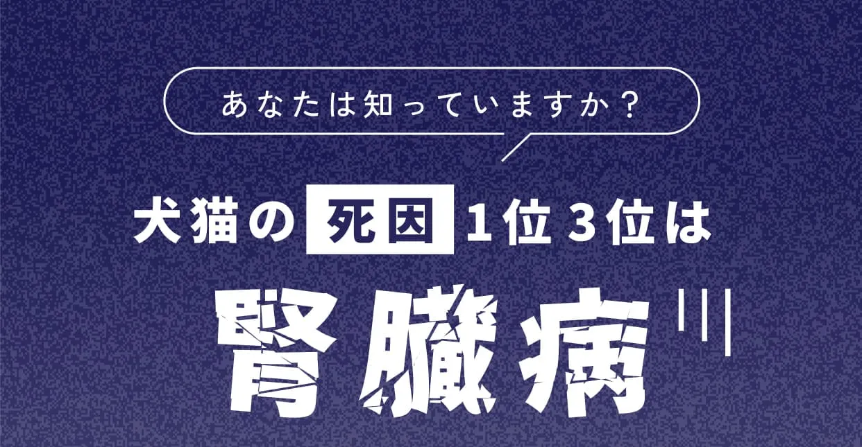 あなたは知っていますか？犬猫の死因1位3位は腎臓病