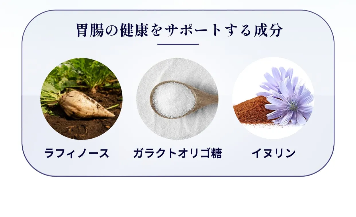胃腸の健康をサポートする成分・ラフィノース・ガラクトオリゴ糖・イヌリン