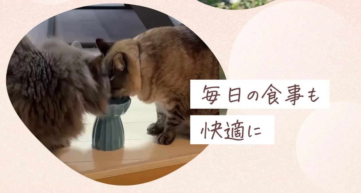 毎日の食事も快適に