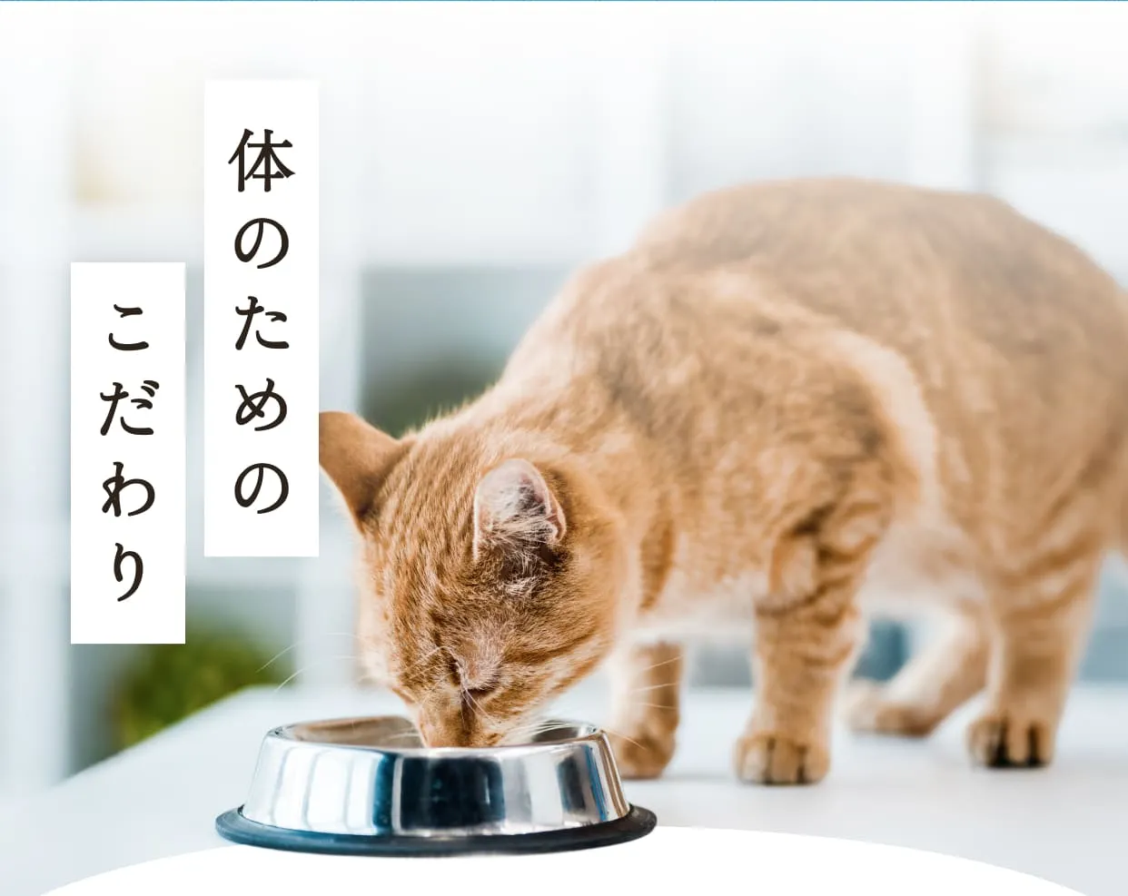 体のためのこだわり