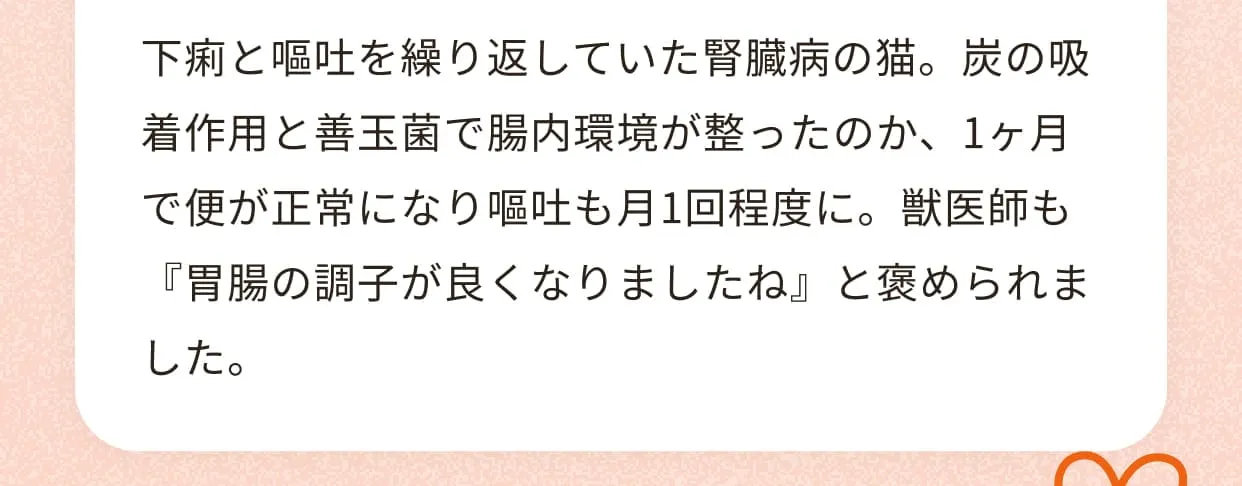 下痢と嘔吐を繰り返していた腎臓病の猫。炭の吸着作用と善玉菌で腸内環境が整ったのか、1ヶ月で便が正常になり嘔吐も月1回程度に。獣医師も『胃腸の調子が良くなりましたね』と褒められました。