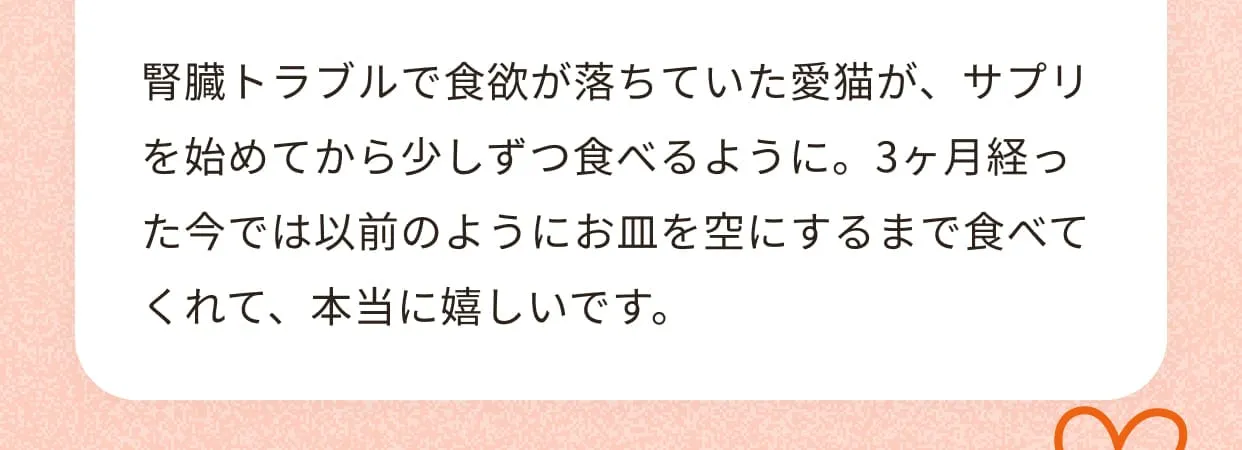 腎臓トラブルで食欲が落ちていた愛猫が、サプリを始めてから少しずつ食べるように。3ヶ月経った今では以前のようにお皿を空にするまで食べてくれて、本当に嬉しいです。