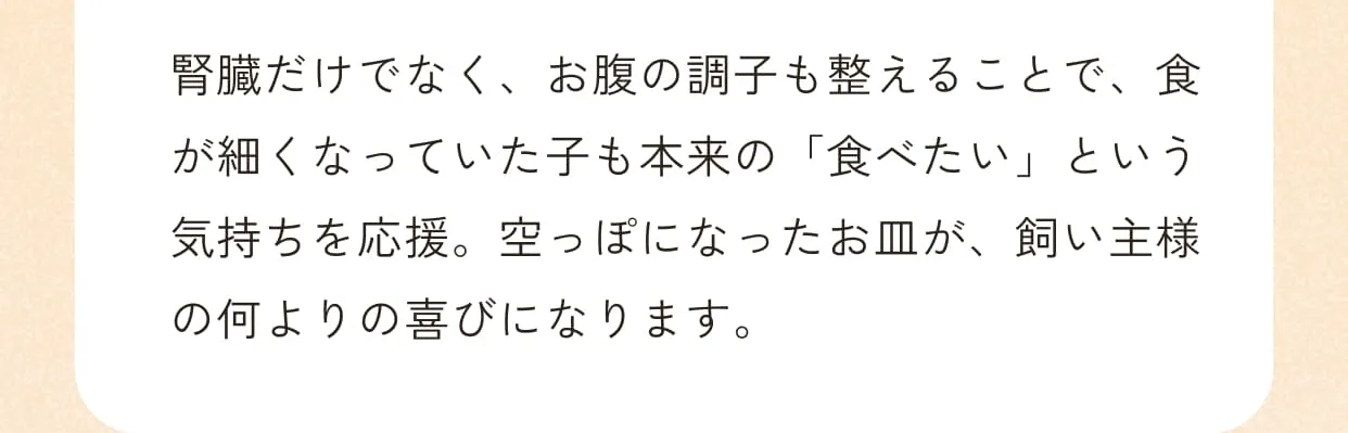 腎臓だけでなく、お腹の調子も整えることで、食が細くなっていた子も本来の「食べたい」という気持ちを応援。空っぽになったお皿が、飼い主様の何よりの喜びになります。