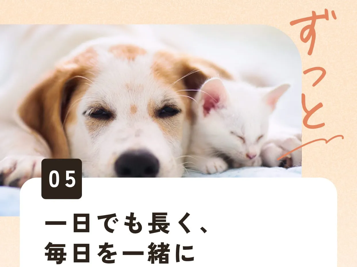 05.一日でも長く、毎日を一緒に