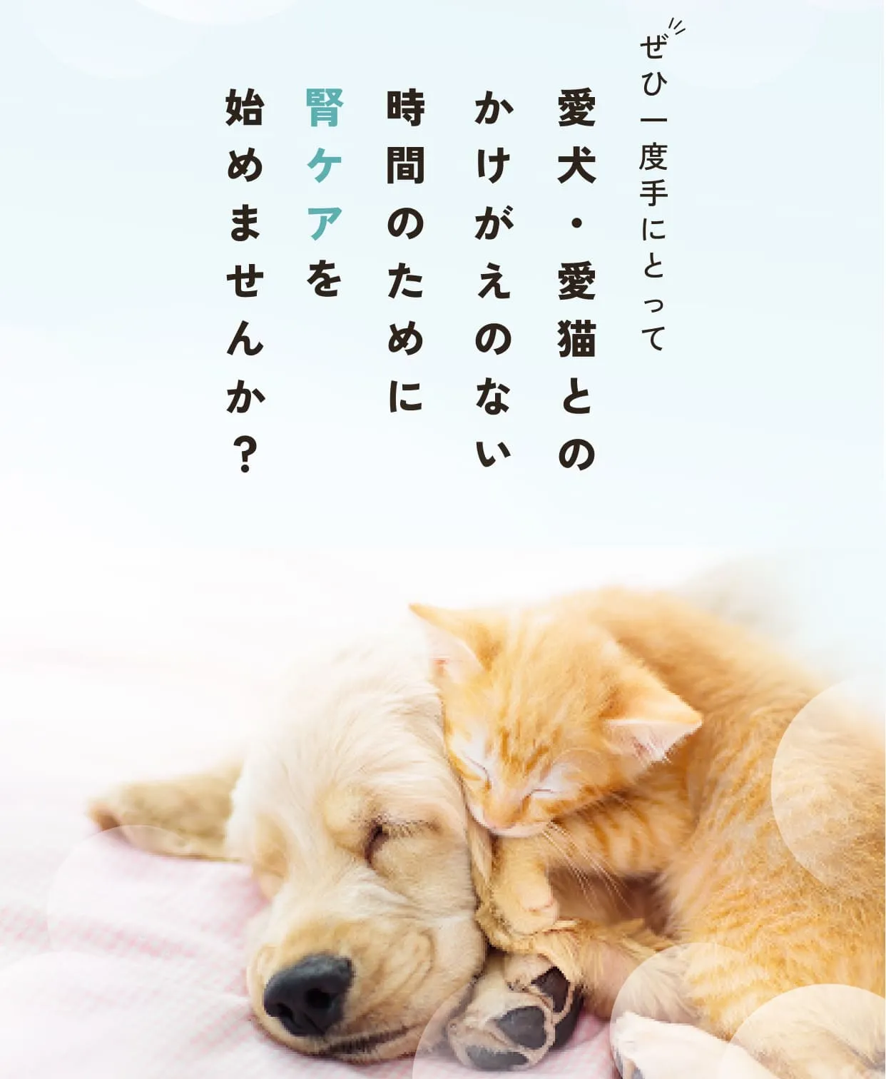 ぜひ一度手にとって愛犬・愛猫とのかけがえのない時間のために腎ケアを始めませんか？