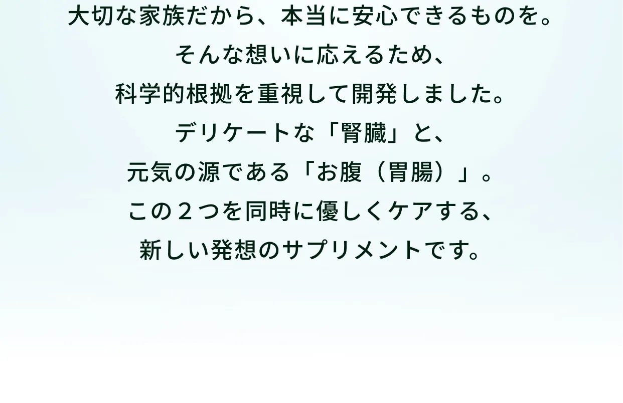 ３カ国特許取得