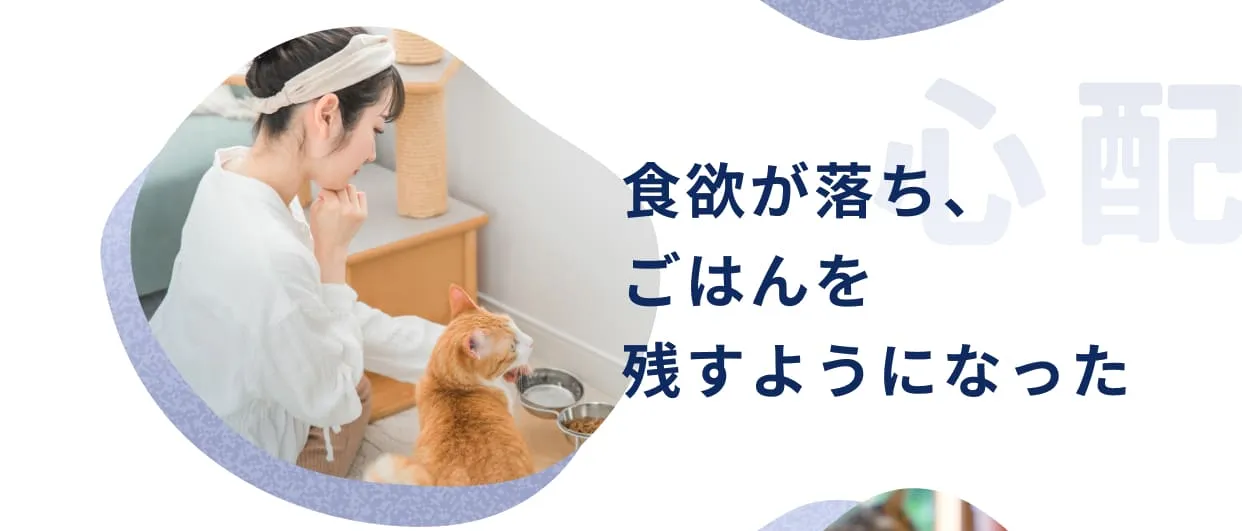 食欲が落ち、ごはんを残すようになった