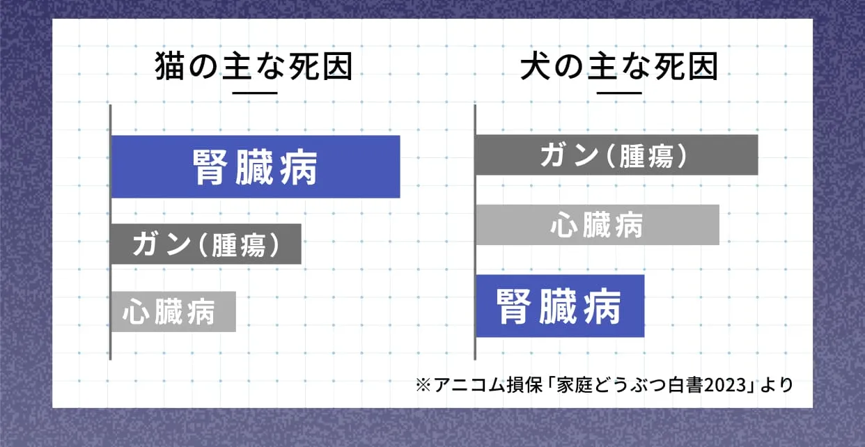 猫の主な死因腎臓病ガン（腫瘍）心臓病・犬の主な死因ガン（腫瘍）心臓病腎臓病※アニコム損保「家庭どうぶつ白書2023」より