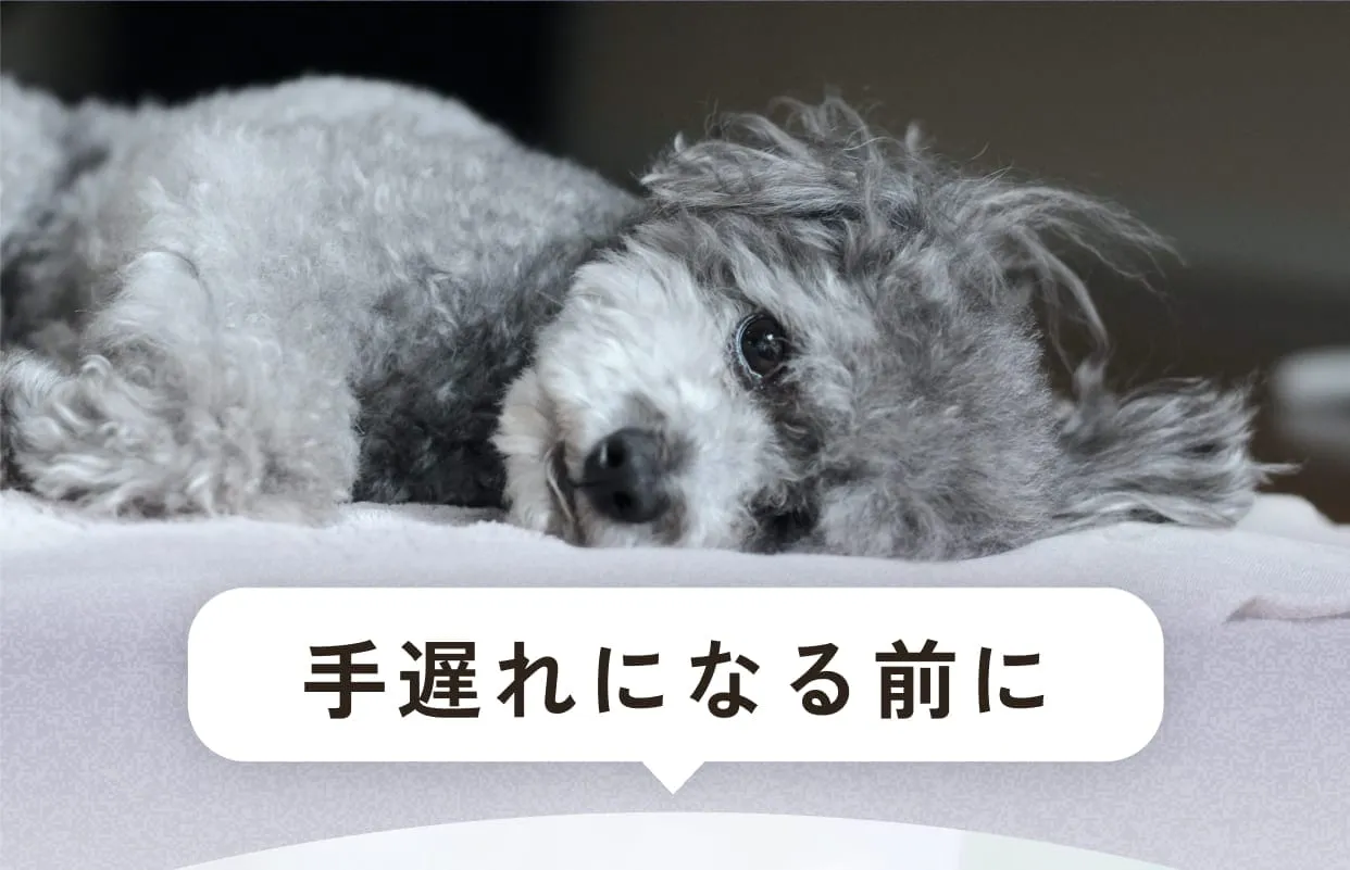 手遅れになる前に